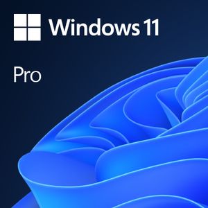 Microsoft Windows 11 Pro 1 licentie(s)