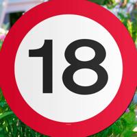 Leeftijd Tuin decoratiebord - 18 jaar verjaardag - karton - 26 cm - verkeersbord