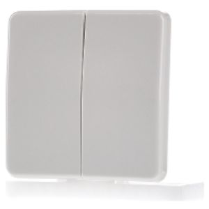 CD 595  - Cover plate for switch/push button CD 595
