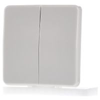 CD 595  - Cover plate for switch/push button CD 595 - thumbnail