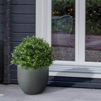 Buxus bol deluxe kunstplant 40cm
