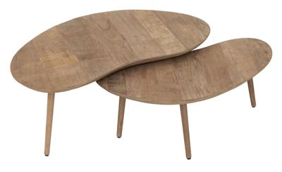 DTP Home Organische Salontafel 'Apollo' Teakhout, Set van 2 stuks