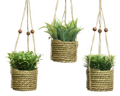 Hangmand plant pe d8h12cm groen a3 Everlands - Everlands