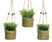 Hangmand plant pe d8h12cm groen a3 Everlands - Everlands Hangmand plant pe d8h12cm groen a3 Everlands - Everlands