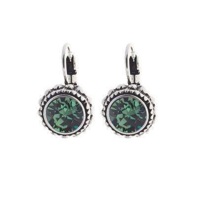 Biba Hang Oorbellen met Klaphaak en Swarovski Steentje Erinite