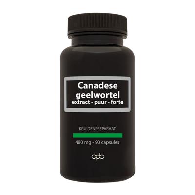 Apb Holland Canadese geelwortel 480mg puur