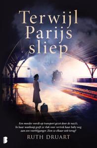 Terwijl Parijs sliep (Paperback)