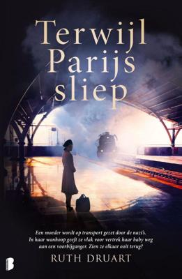 Terwijl Parijs sliep (Paperback)