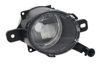 Mistlamp rechts 195985112