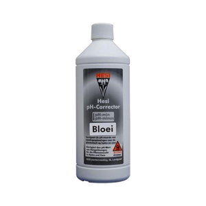 Hesi Hesi PH- Bloei