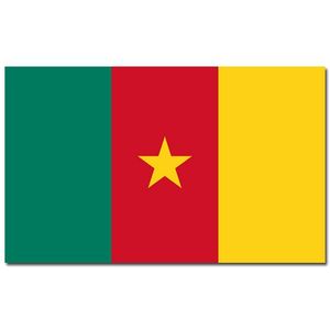 Gevelvlag/vlaggenmast vlag Kameroen 90 x 150 cm   -