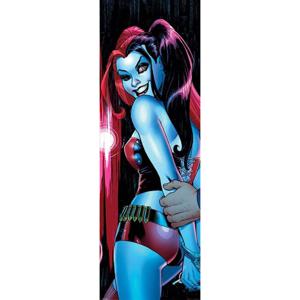 Poster Harley Quinn Wink 53x158cm