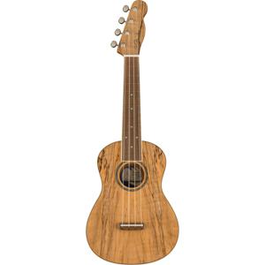 Fender California Coast Zuma Exotic concert ukelele spalted maple