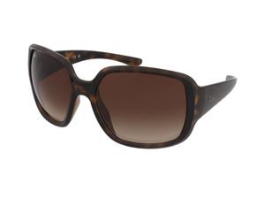 Ray-Ban Powderhorn RB4347 710/13