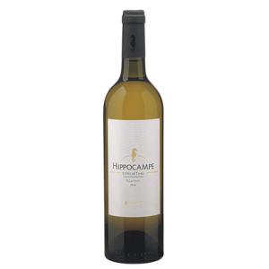 Hippocampe Blanc 2022 - Chardonnay, Sauvignon Blanc &and Viognier - 75CL - 13% Vol.