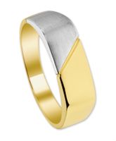 TFT Ring Poli/mat Bicolor Goud