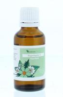 Balance Pharma RGP005 Hypofyse Regenoplex