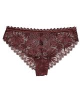 Brazilian - Bruin