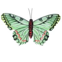 Pro Garden Wanddecoratie vlinder - groen - 49 x 34 cm - metaal - muurdecoratie / schutting / tuin