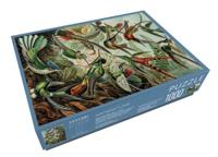 Art Forms of Nature Puzzel 1000 Stukjes