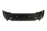 Bumper 5506008171953P