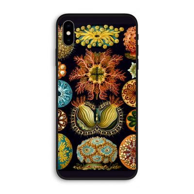Haeckel Ascidiae: iPhone XS Max Biologisch afbreekbaar hoesje