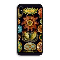 Haeckel Ascidiae: iPhone XS Max Biologisch afbreekbaar hoesje