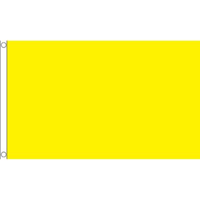 Kleuren thema vlag - geel - 150 x 90 cm - polyester