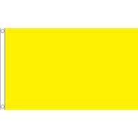 Kleuren thema vlag - geel - 150 x 90 cm - polyester