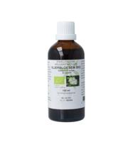Sambucus nigra / vlierbloesem tinctuur bio