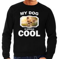 Chihuahua honden sweater / trui my dog is serious cool zwart voor heren