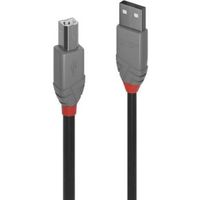 Lindy 36672 1m USB A USB B Mannelijk Mannelijk Zwart USB-kabel - thumbnail