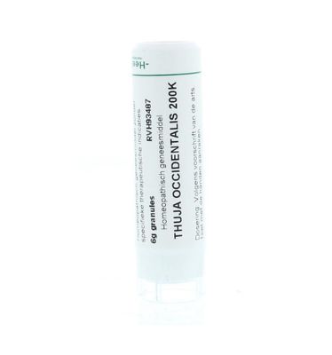 Thuja occidentalis 200K