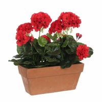 Geranium balkon kunstplant rood in keramieken pot L29 x B13 x H40 cm   - - thumbnail