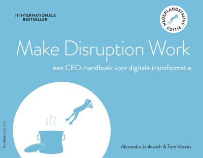 Make Disruption Work (Paperback)