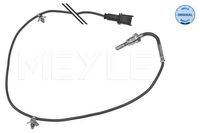 Sensor, uitlaatgastemperatuur 6148000057
