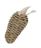 ZOLUX EHOP WORTEL ZEEGRAS