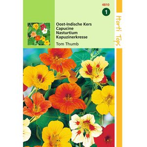 Hortitops - 2 stuks Tropaeolum Tom Thumb enkelbl.gem.laag