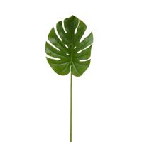 Monsterablad 90 cm kunsttak Buitengewoon de Boet - Buitengewoon de boet