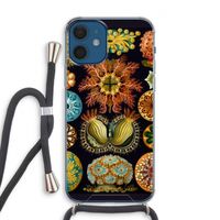 Haeckel Ascidiae: iPhone 12 Transparant Hoesje met koord