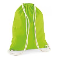 2x stuks sport gymtas lime groen met rijgkoord 46 x 37 cm van katoen