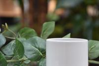 Bloempot Eno 8x 8 cm - wit