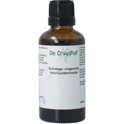 Natura Sanat Solidago virg herb / guldenroede tinctuur Natura Sanat Solidago virg herb / guldenroede tinctuur