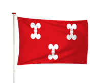 Vlag Zuilen
