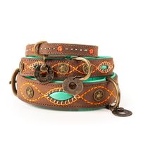 DWAM Joplin Bruin, Oranje, Turkoois Leer S Hond Standaard halsband - thumbnail