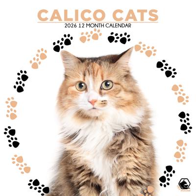 Calico Katten Kalender 2026