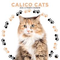 Calico Katten Kalender 2026