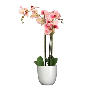 Orchidee kunstplant roze - 75 cm - inclusief bloempot wit glans