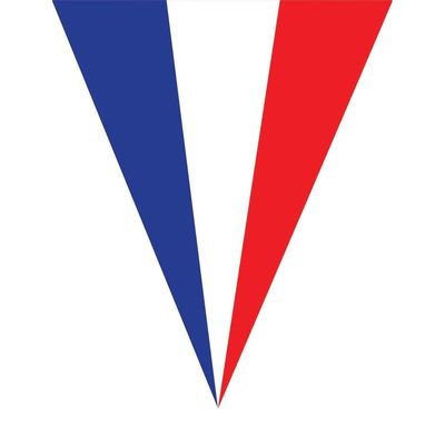 Frankrijk thema vlaggenlijn - 5 meter - kunststof - buiten/binnen - feestslinger