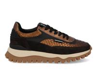 Floris van Bommel Grommi 01.17 bronz Bruin maat 37